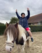 Ervaren hippotherapie/wandel paard, Dieren en Toebehoren, Merrie, Minder dan 160 cm, B, 11 jaar of ouder