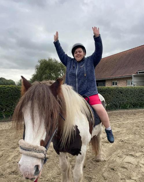 Ervaren hippotherapie/wandel paard, Dieren en Toebehoren, Paarden, Merrie, B, Minder dan 160 cm, 11 jaar of ouder, Recreatiepaard