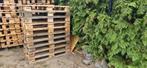 europaletten, pallets, palletten klasse B, Doe-het-zelf en Bouw, Hout en Planken, Ophalen, Gebruikt