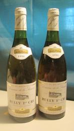 2x Rully 1er Cru - Domaine de la Renarde - 1990, Verzamelen, Wijnen, Frankrijk, Ophalen of Verzenden, Vol, Witte wijn