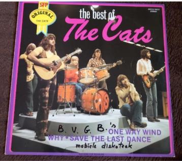 LP vinyle Best of The Cats Pop Rock Piet Veerman (Pays-Bas), Enlèvement ou Envoi, 12 pouces