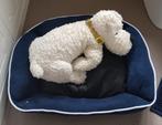 Panier pour chien., Dieren en Toebehoren, Hondenmanden, Ophalen