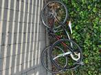 koersfiets Ridley, Ophalen, Versnellingen, Ridley, Gebruikt