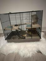 Chambre pour hamsters (+ équipement supplémentaire), Animaux & Accessoires, Enlèvement ou Envoi, 75 à 110 cm, Hamster, Cage