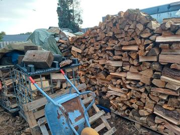 Droog brandhout  beschikbaar voor biedingen