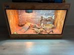 Terrarium met inrichting, Ophalen, Zo goed als nieuw