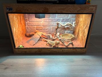 Terrarium met inrichting beschikbaar voor biedingen