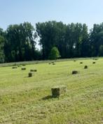 Hooi te koop, Dieren en Toebehoren, Ophalen