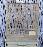 Cage à perroquet ou grande perruche, Enlèvement, Utilisé, Métal, Cage à oiseaux
