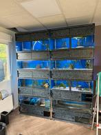 Aquariumstelling, Dieren en Toebehoren, Ophalen