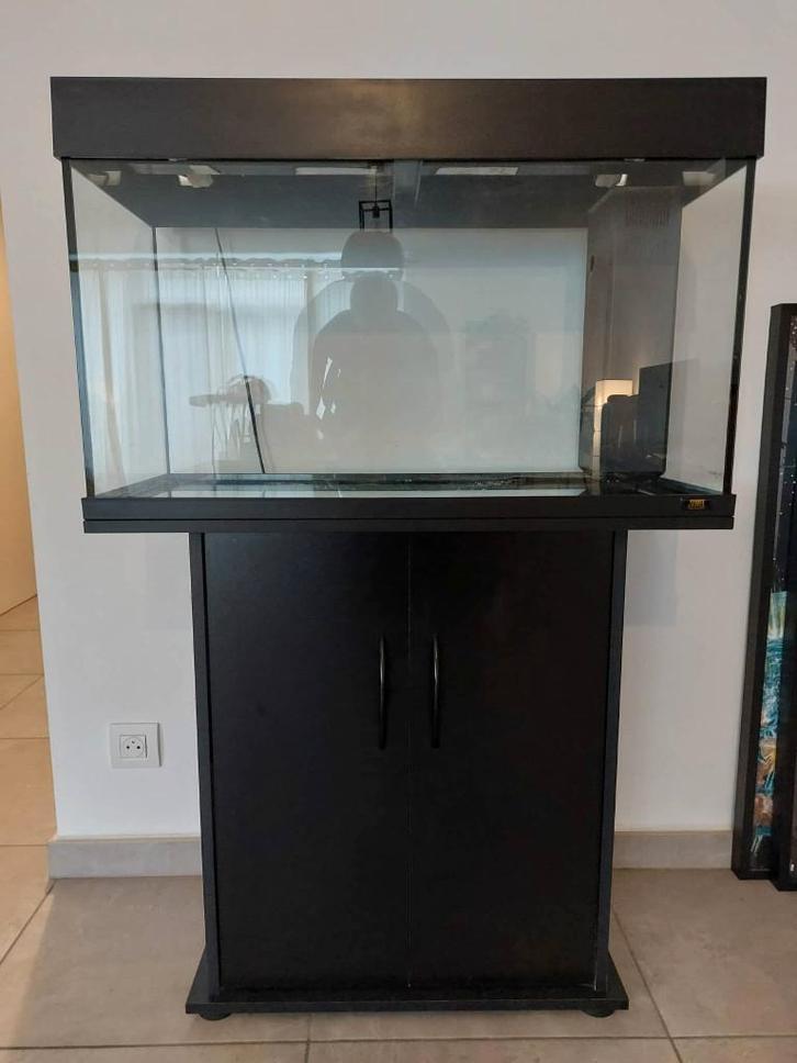 Aquarium 125L "Jewel", Dieren en Toebehoren, Vissen | Aquaria en Toebehoren, Gebruikt, Gevuld zoetwateraquarium, Ophalen