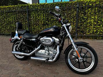 Harley davidson Sportster 883 Superlow beschikbaar voor biedingen