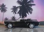 FORD MUSTANG CONVERTIBLE 1/2 1:18, Ophalen of Verzenden, Nieuw, Auto, Welly