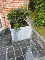 2 x Betonlook plantenbak 55x55 cm, Tuin en Terras, Ophalen, Zo goed als nieuw