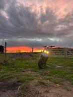 Mbk, Dieren en Toebehoren, Stalling en Weidegang