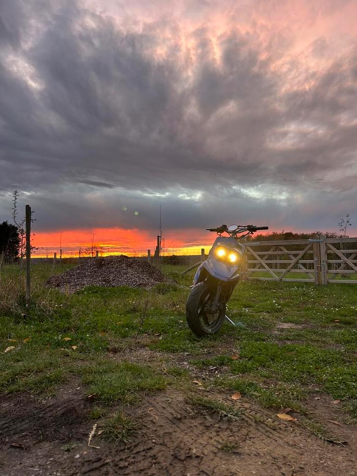 Mbk, Dieren en Toebehoren, Stalling en Weidegang