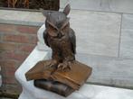 statue d un hibou sur livres en bronze patiné brun ..., Jardin & Terrasse, Animal, Autres matériaux, Enlèvement ou Envoi, Neuf