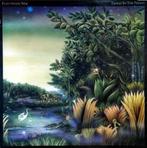 vinyl: FLEETWOOD MAC -- TANGO IN THE NIGHT, Ophalen of Verzenden, 1980 tot 2000, Gebruikt, 12 inch