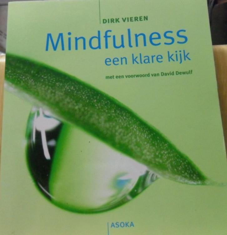 Mindfulness, een klare kijk, Dirk Vieren, Boeken, Esoterie en Spiritualiteit, Zo goed als nieuw, Ophalen of Verzenden
