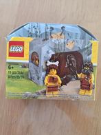 Lego, Kinderen en Baby's, Speelgoed | Duplo en Lego, Ophalen of Verzenden, Zo goed als nieuw, Lego