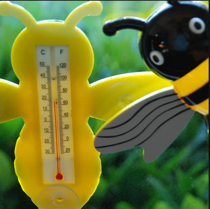 Thermometer bij, Huis en Inrichting, Woonaccessoires | Thermometers, Nieuw, Buitenthermometer, Ophalen of Verzenden