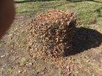 Gratis boombladeren voor compost, Tuin en Terras, Aarde en Mest, Ophalen, Compost