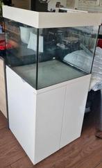 Aquarium Aqua Medic Kauderni 200L (Aquarium Marin), Animaux & Accessoires, Poissons | Aquariums & Accessoires, Enlèvement, Utilisé