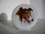 plaque staander porselein colli hond Lassie, Antiquités & Art, Enlèvement ou Envoi