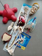 Didactisch skelet, Ophalen, Nieuw