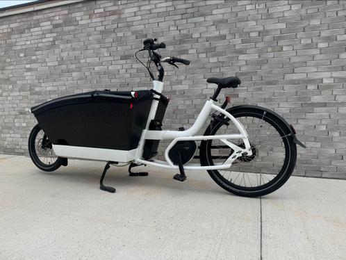 Te koop: Urban Arrow Family –Performance Line, Fietsen en Brommers, Fietsen | Bakfietsen, Ophalen