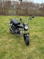 Dax, Fietsen en Brommers, Ophalen