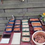 Pots pour bonsaï, Enlèvement