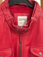 Mooi rood lederen jasje van Esprit (Fr. 40)., Kleding | Dames, Zo goed als nieuw, Jasje, Rood, Esprit