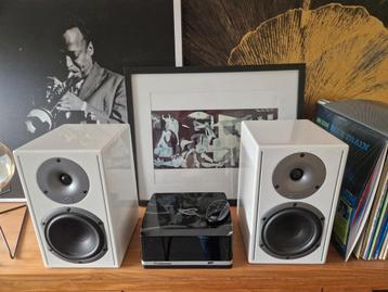 High End Cabasse Stream Amp 100 + Cabasse Surf Speakers beschikbaar voor biedingen