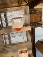 TT kweekooien ijzer, Dieren en Toebehoren, Vogels | Overige Vogels