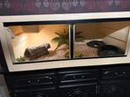 Terrarium, Dieren en Toebehoren, Ophalen, Zo goed als nieuw, Terrarium of Paludarium