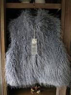 Chauffe-corps, Vêtements | Femmes, Blousons sans Manches, Enlèvement ou Envoi, Neuf, Gris