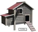 6 Maanden oude Legkippen - Bel: 0472/51.09.71, Dieren en Toebehoren, Pluimvee, Kip