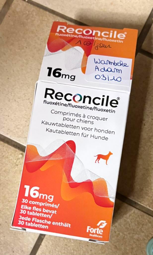 Médicament RECONCILE 16 mg pour chien reste 21 comp sur 30, Dieren en Toebehoren, Honden-accessoires, Nieuw, Ophalen of Verzenden