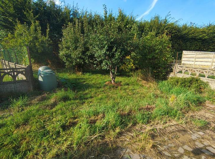 Tuinman in bijberoep, Diensten en Vakmensen, Tuinmannen en Stratenmakers, Hekwerk of Schuttingen, Tuinonderhoud of Snoeiwerk