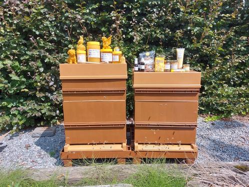 Honing en andere bijenproducten, imkerij the honey bear, Diversen, Levensmiddelen, Ophalen of Verzenden