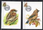 Année 1994 : Carte maximum 2353-2354 - Oiseaux - Buzin - obl, Timbres & Monnaies, Timbres | Europe | Belgique, Enlèvement ou Envoi