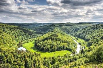 bouwgrond in hartje ardennen top locatie !  beschikbaar voor biedingen