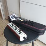Accordina, Muziek en Instrumenten, Accordeons, Overige merken, Overige formaten, Ophalen of Verzenden, Zo goed als nieuw