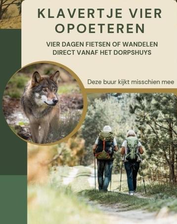 Klavertje vier: wandelen in de Limburgse Hoge Kempen beschikbaar voor biedingen