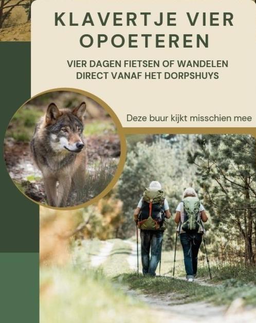 Klavertje vier: wandelen in de Limburgse Hoge Kempen, Sport en Fitness, Bergsport en Wandelen, Ophalen