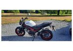 Suzuki SV 650 2022, Motoren, Motoren | Suzuki, 2 cilinders, Particulier, Meer dan 35 kW, Minimaal motorrijbewijs A2