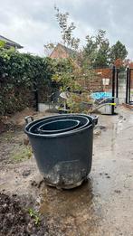 Diverse grote potten, Tuin en Terras, Bloembakken en Plantenbakken, Ophalen, Gebruikt