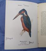 1898: Atlas des Oiseaux. Vogel atlas. 72x litho in kleur., Antiek en Kunst, Ophalen of Verzenden, Baron L. d'Hamonville