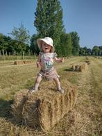 Kleine pakjes hooi, Ophalen, Overige soorten
